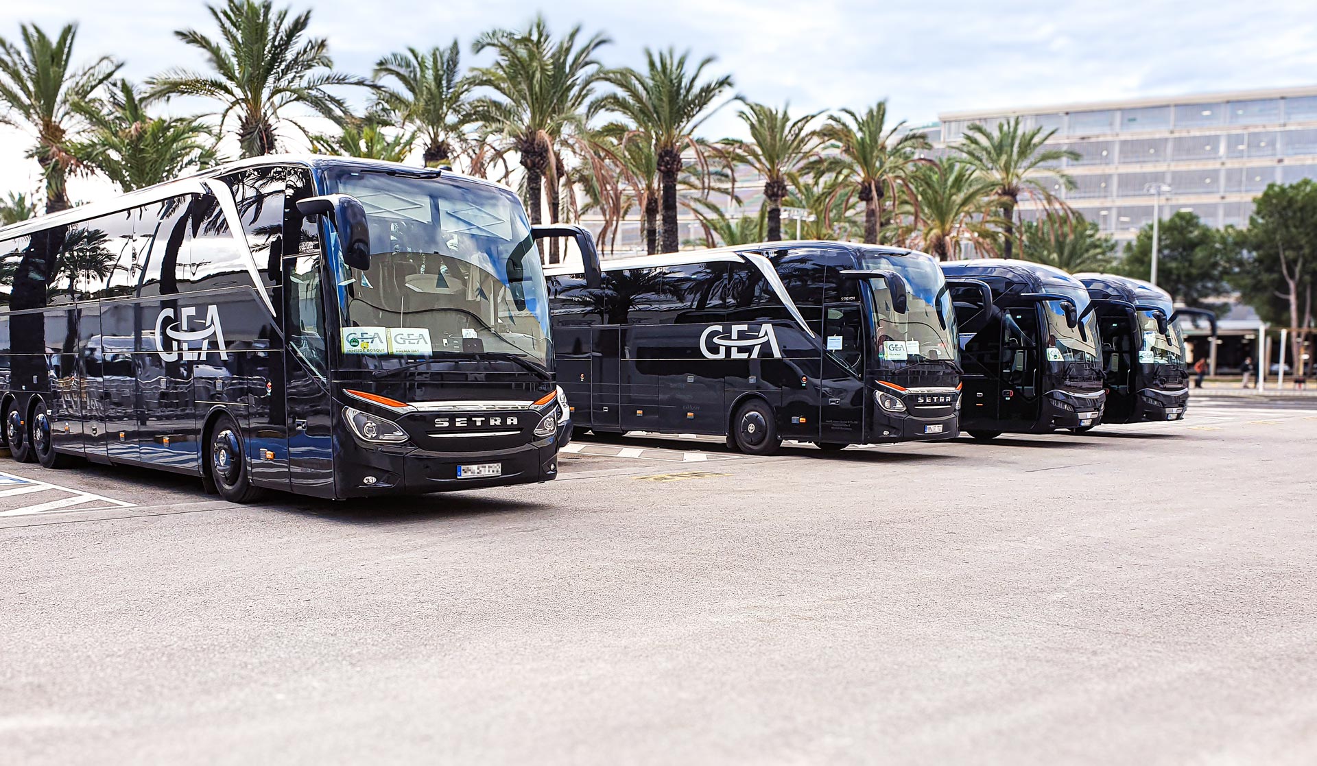 Reisebusse beim Busservice auf Mallorca